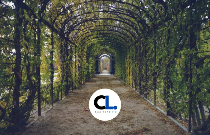 Garden caption for Instagram