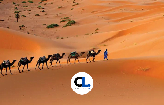Desert Captions
