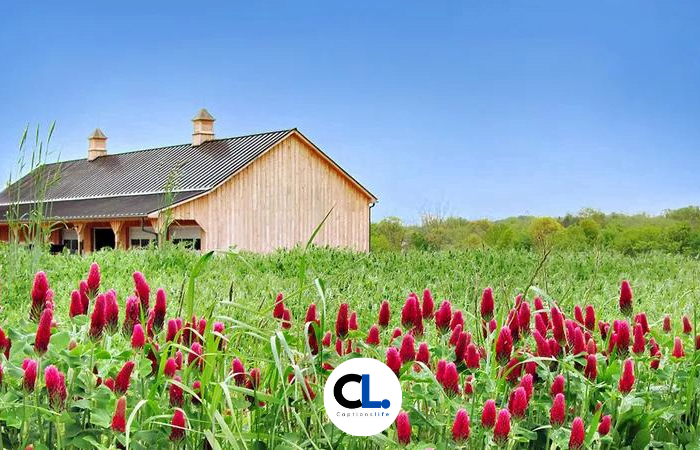 Farm Captions