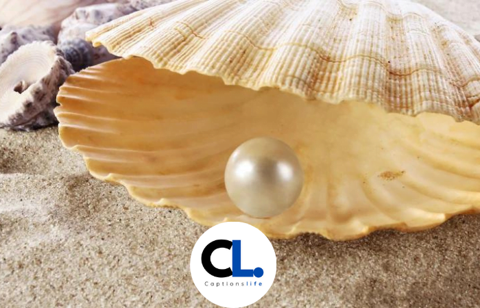 Oyster Captions