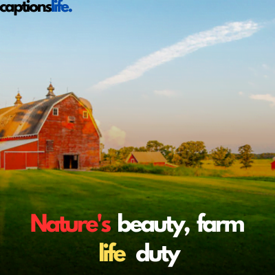 160+ Farm caption For Instagram Pictures