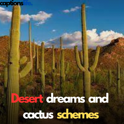 Cactus Captions