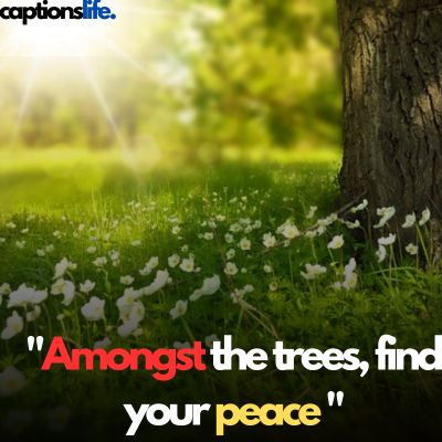 Nature Captions