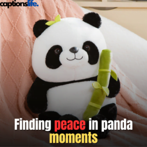 Panda Captions