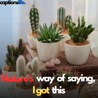 Cactus Captions