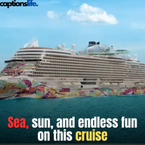 Cruise Captions