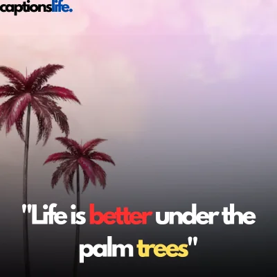 Palm Tree Captions