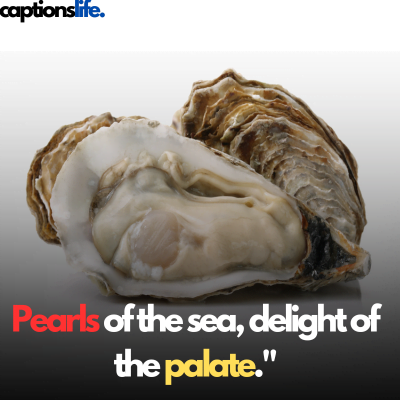 Oyster Captions