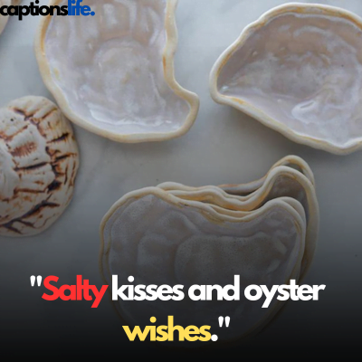 Oyster Captions