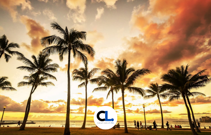 Hawaii Captions