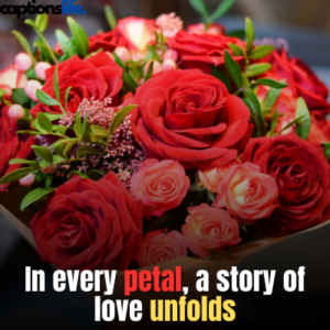 Beautiful Rose Captions