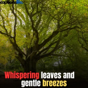 Tree Captions