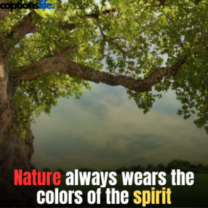 Tree Captions