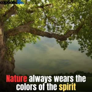Tree Captions