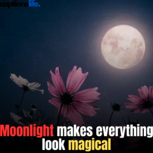 Moon Captions